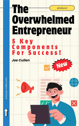 The Overwhelmed Entrepreneur